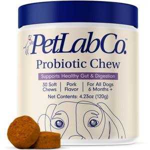 Allergy & Immune Probiotic Chew Supplement for Dogs S7760