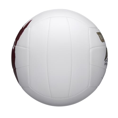 Mini and Official Size Volleyballs N6651
