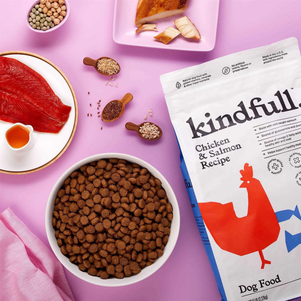 Chicken and Salmon Recipe Dry Dog Food L68522