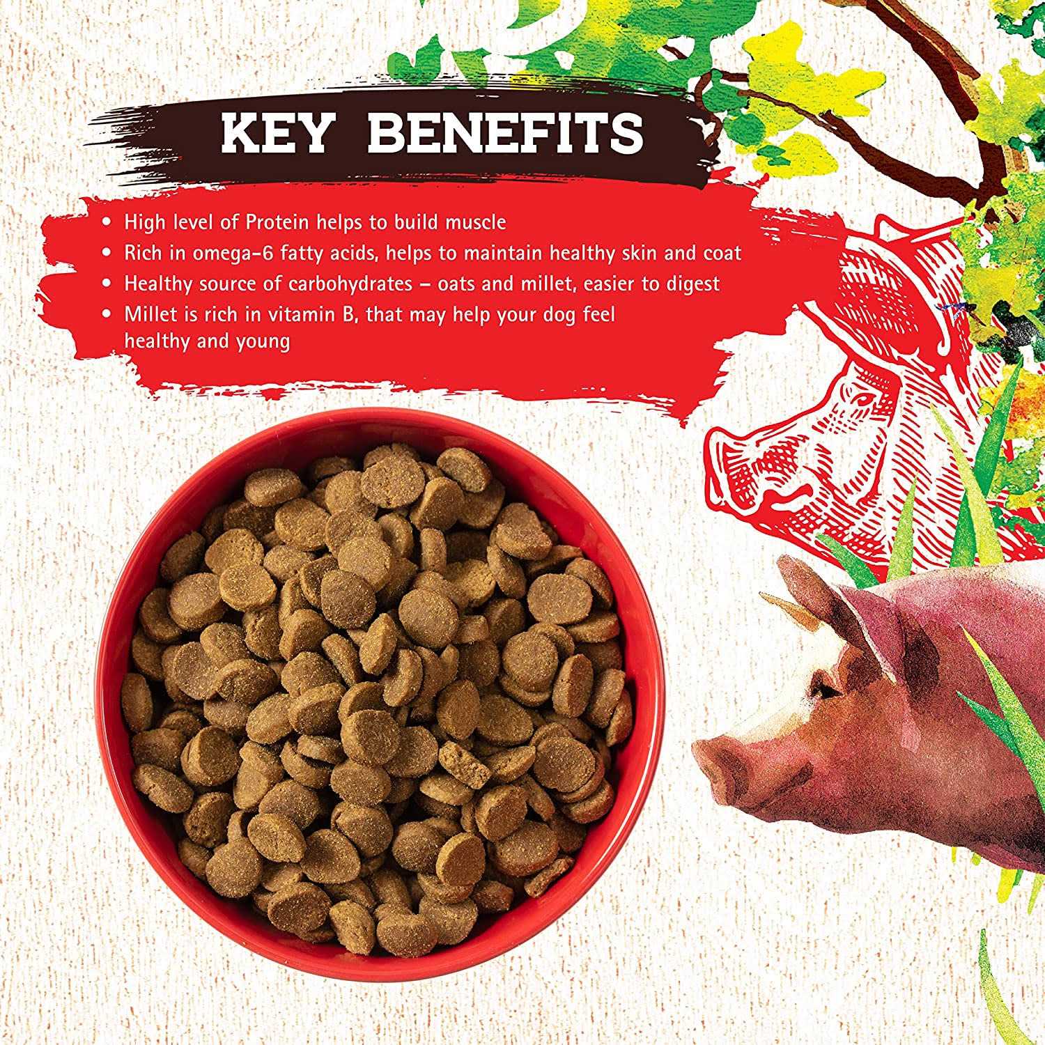 Pork Recipe Dog Food Q131785