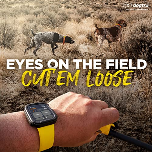 GPS Dog Training Collar with Remote, 9 Mile Range, Tracking D6931
