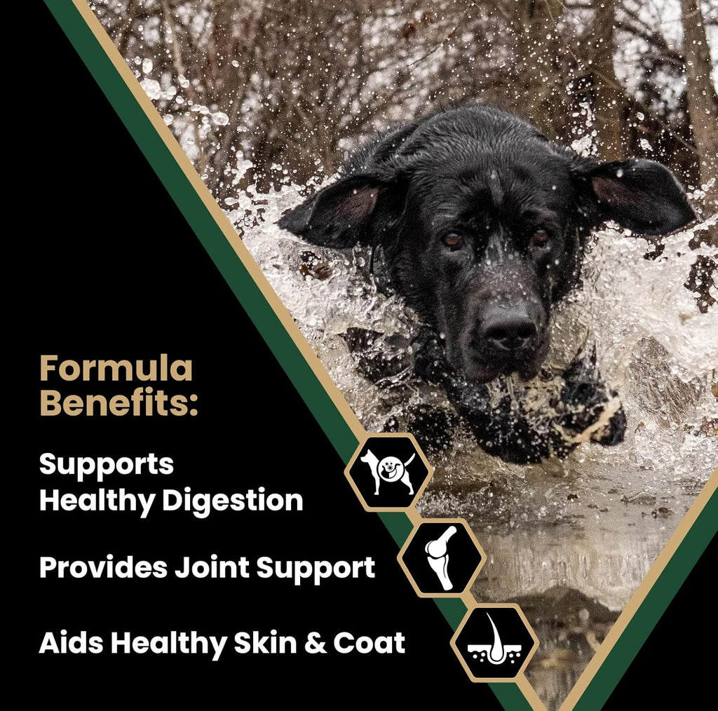 Performance Dry Dog Food, 26% Protein, 5lbs I481743