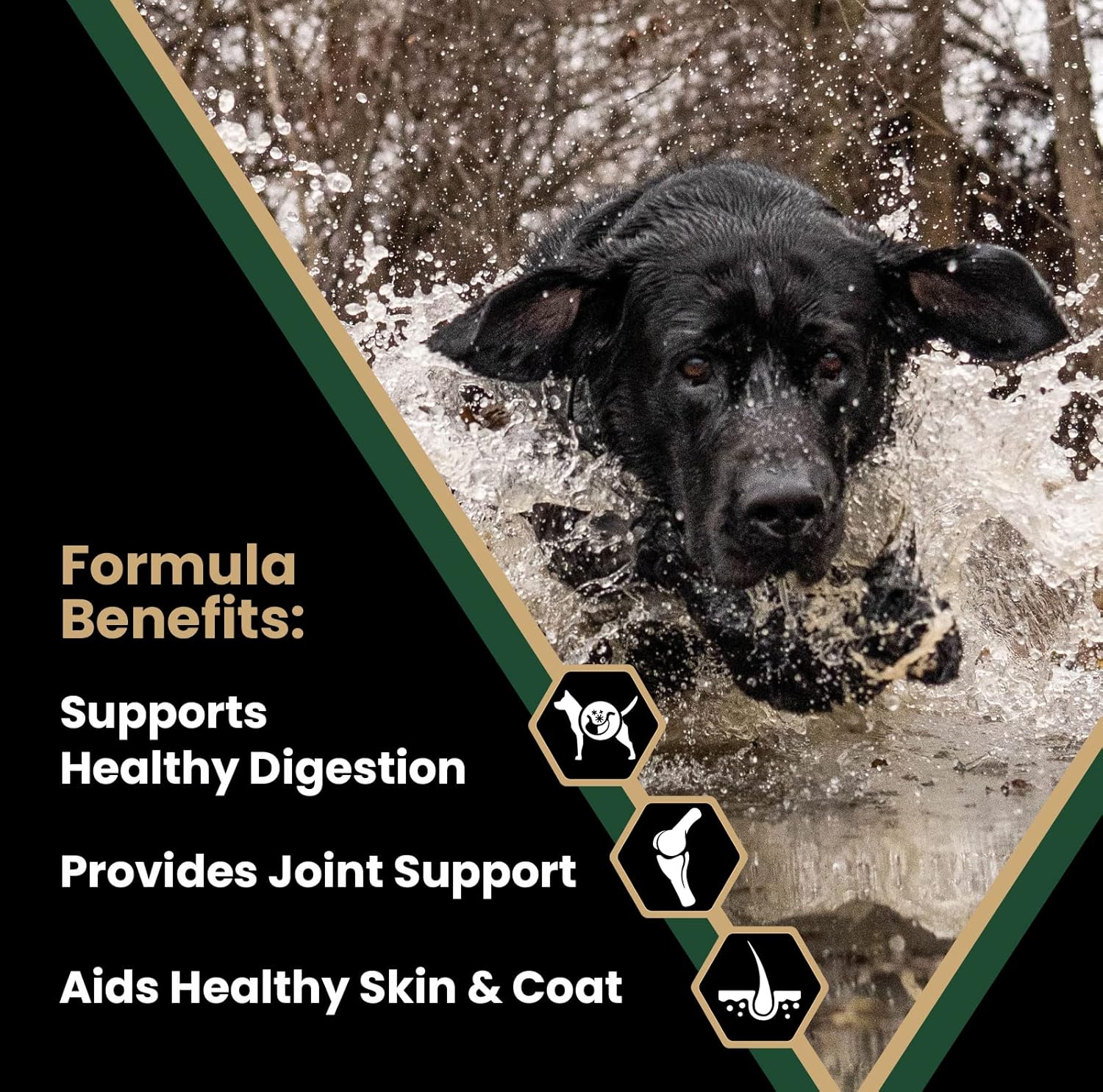 Performance Dry Dog Food, 26% Protein, 5lbs I481743