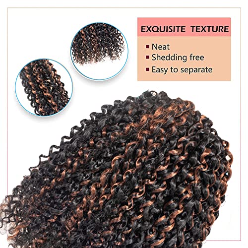 Passion Twist Hair F111