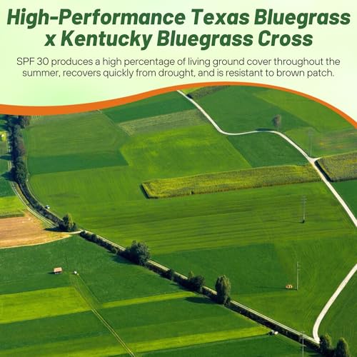 5 lb. Hybrid Bluegrass Lawn Grass Seed X25367