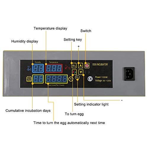 48 Egg Incubator with Automatic Egg Turning Y668
