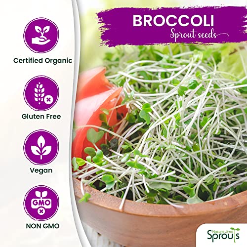 Certified Organic Broccoli Sprouting Seeds - 8oz N4969