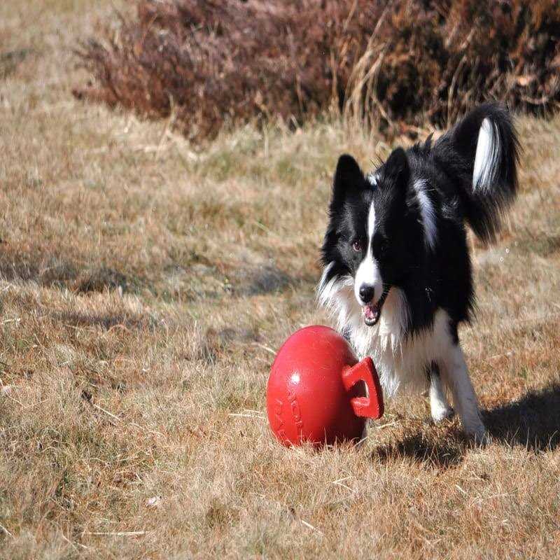 Tug N Toss Ball B55895