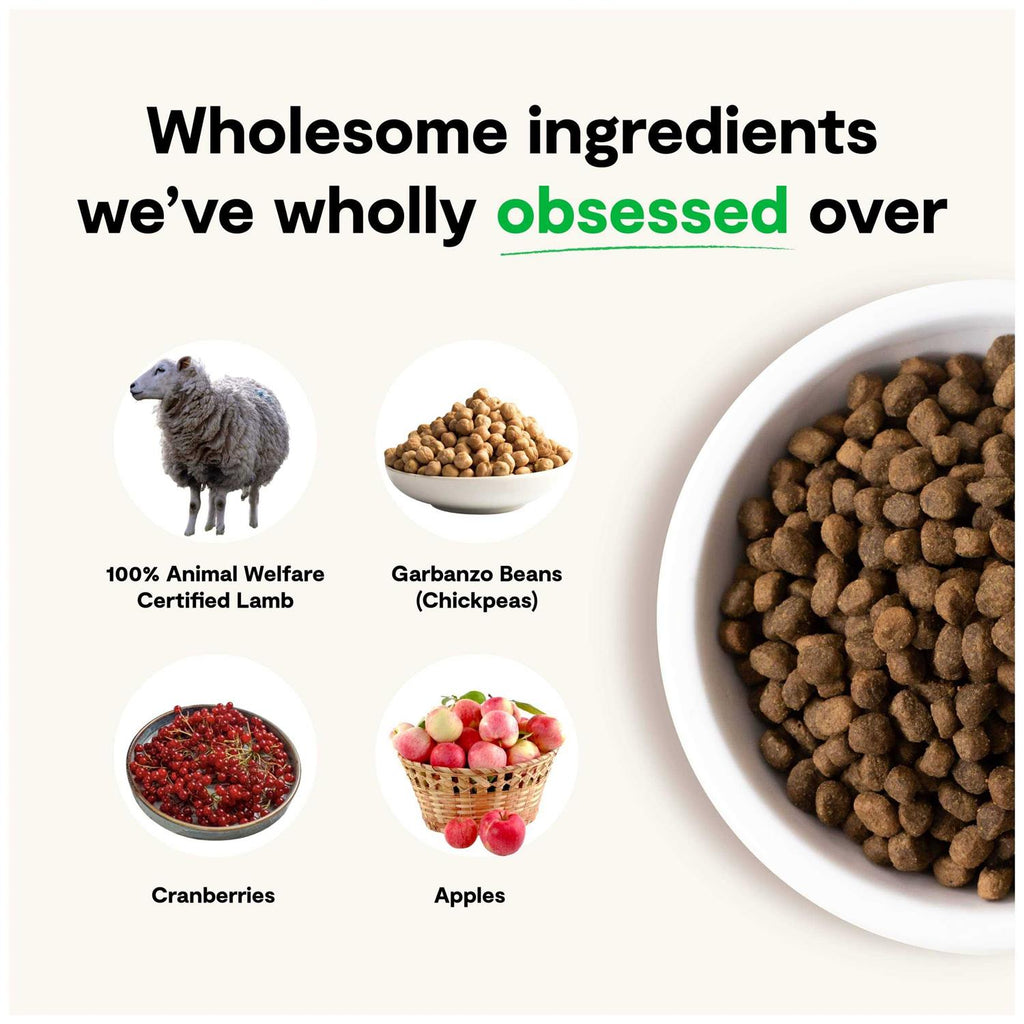 Grain-Free Pasture Raised Lamb Dry Dog Food H2999