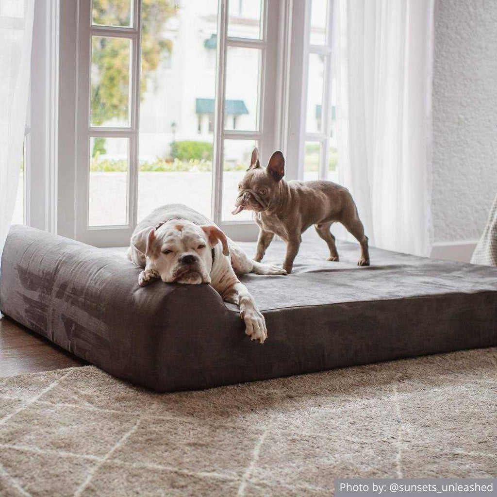 Orthopedic Dog Bed R54929