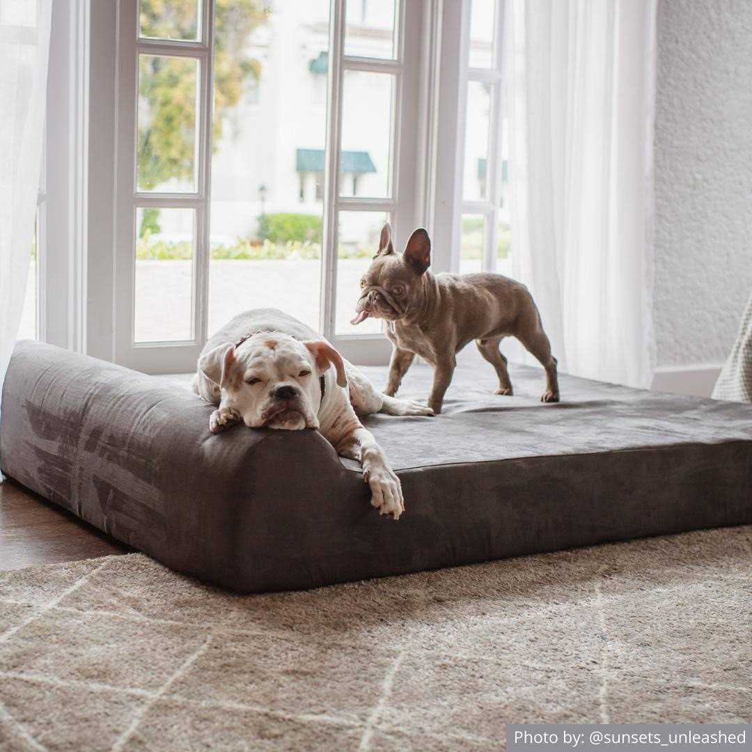 Orthopedic Dog Bed R54929