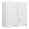 Metal Wall Cabinet with Doors and Adjustable Shelf M383849
