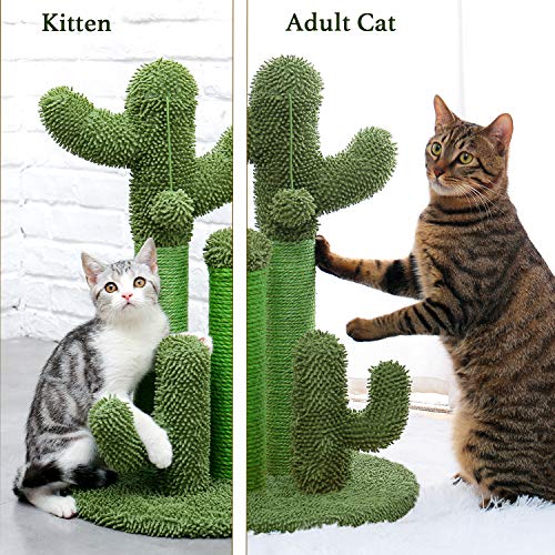 Cat Scratching Post Cactus Cat Scratcher with 3 Scratching Poles and Interactive Dangling Ball A692