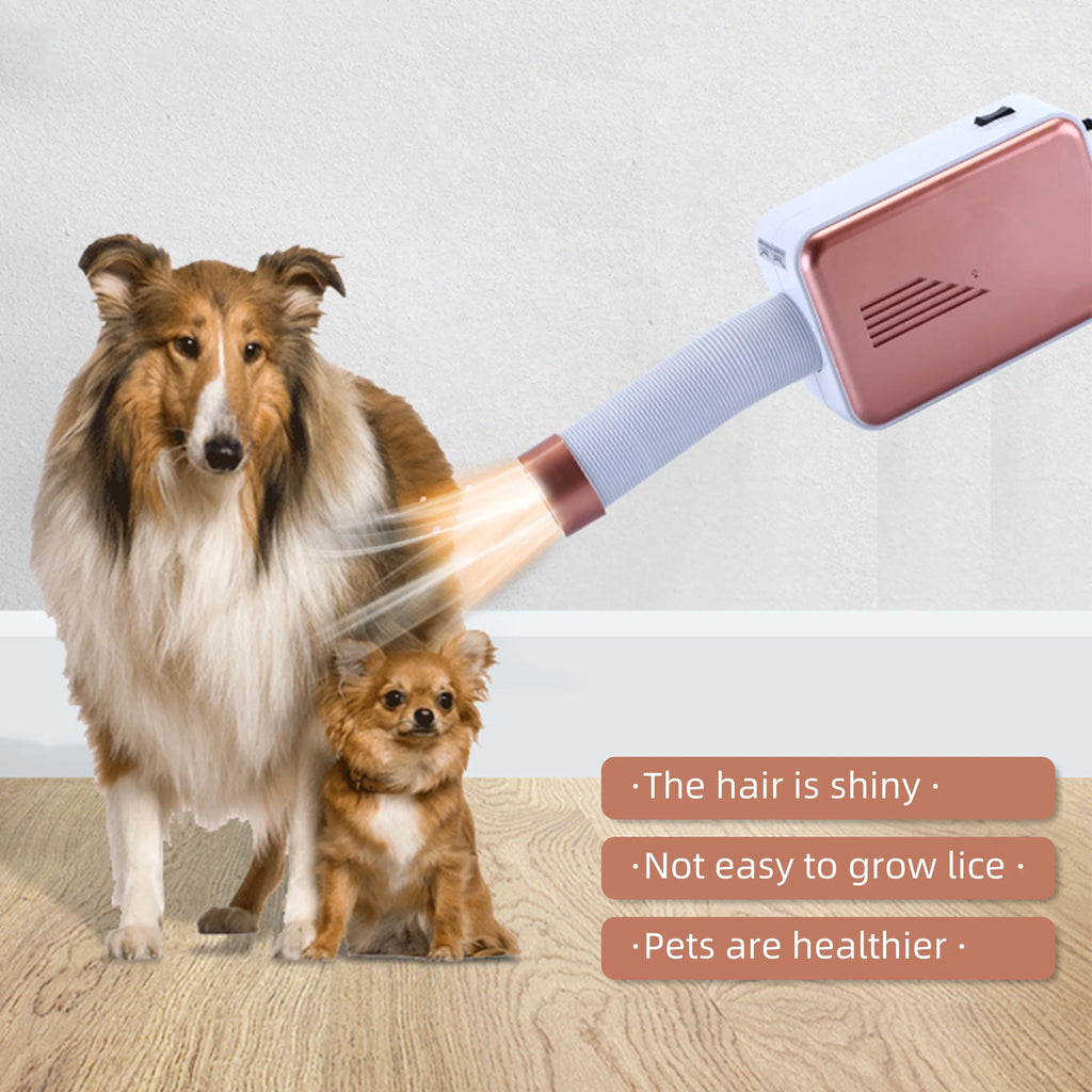 Portable Clothes Dryer 600W Small Dryer Machine M209