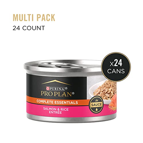 24 Pack 3 oz Wet Cat Food Salmon and Rice Entree in Sauce R6341