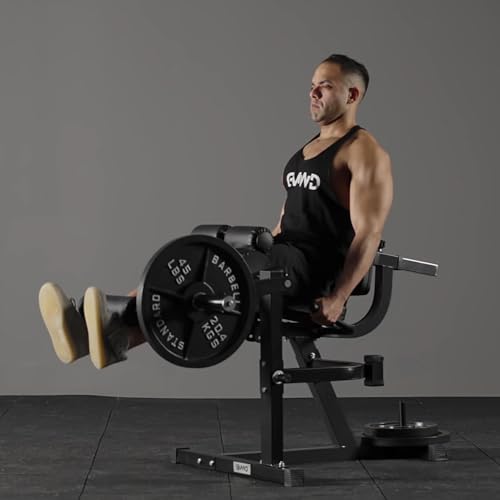 Adjustable Leg Extension and Curl Machine G472