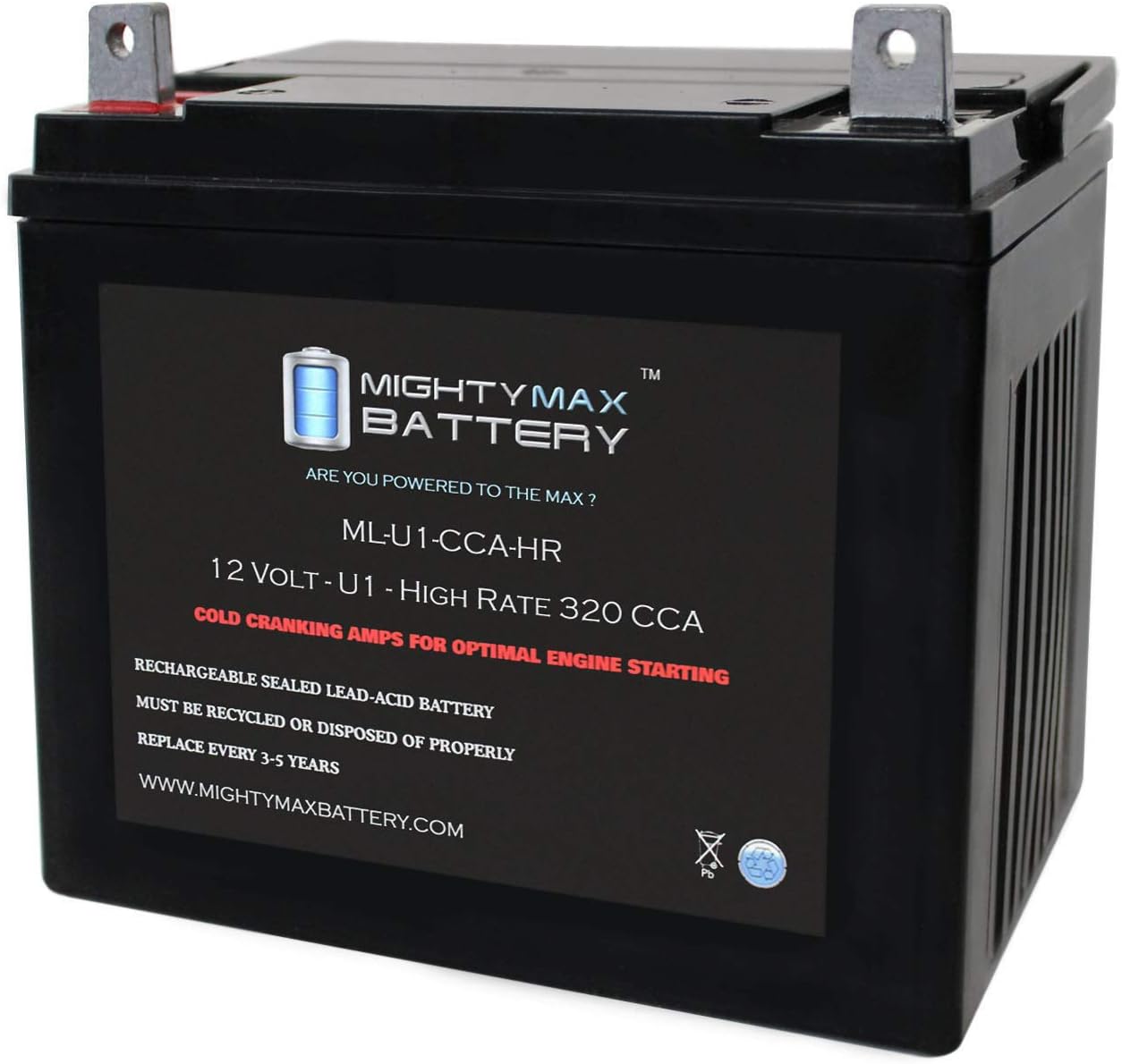 12V 320CCA Battery C6166