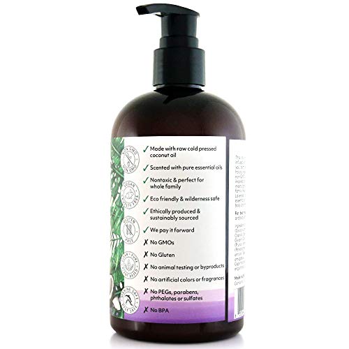 12 oz Fragrance Free Face & Body Lotion S279481