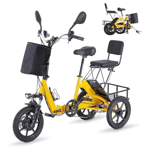 350W Folding Electric Tricycle with 480Wh Removable Battery and 2 Seats E86082
