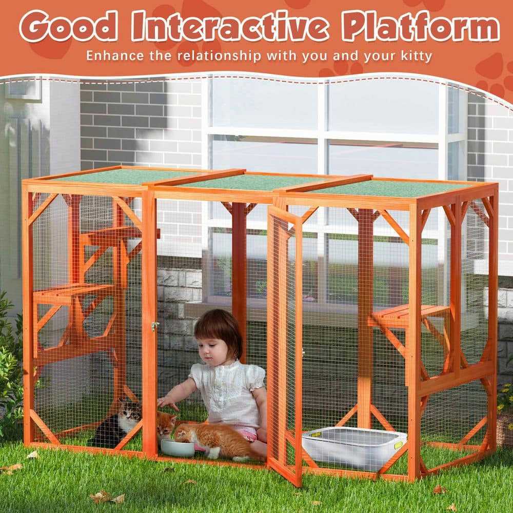Outdoor Cat Enclosure Playpen Catio Z195