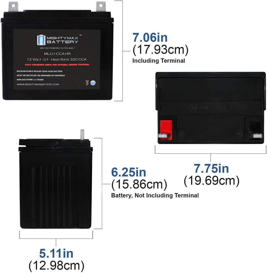 12V 320CCA Battery C6166