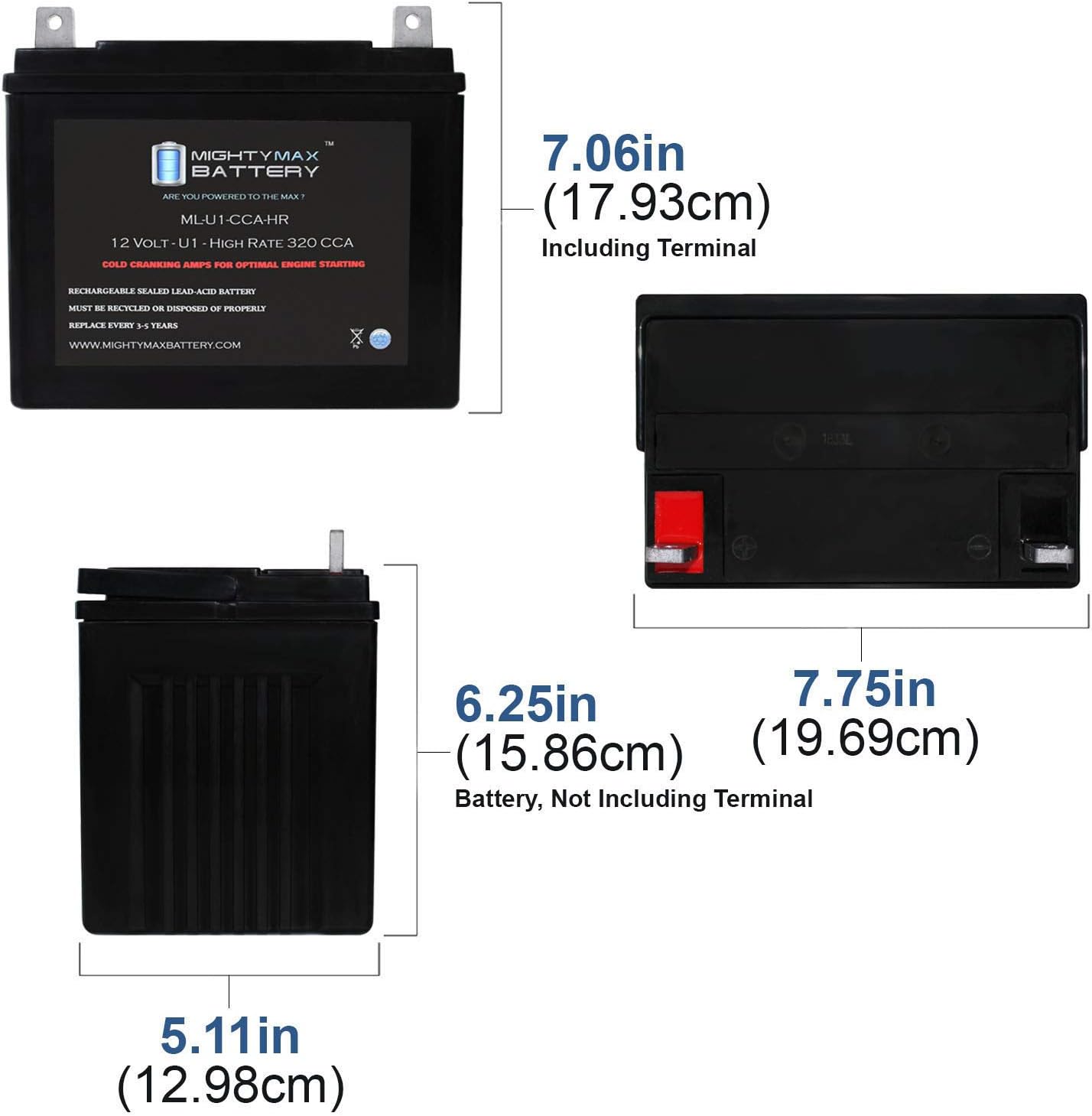 12V 320CCA Battery C6166