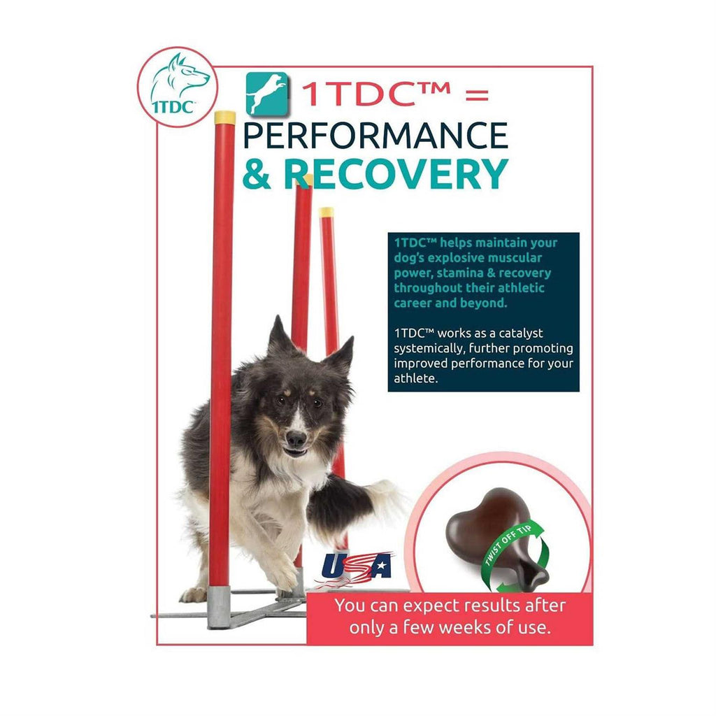 60 Soft Gels Pet Periodontal & Joint Health Supplement C788