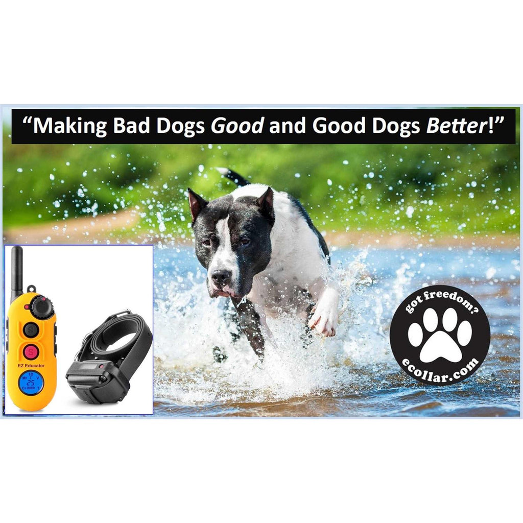 Remote Dog Training Collar with Vibration Y67222