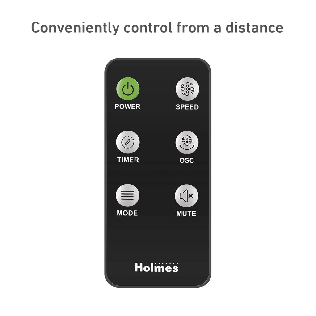 16" Stand Fan With Remote Control P19065