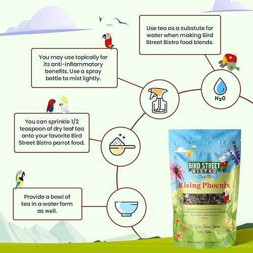 Parrot Food Parakeet Food Cockatiel Food Bird Food X921827