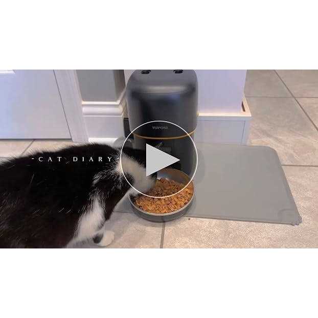 Automatic Cat Feeder 8cup 68oz Cat Food Dispenser S266