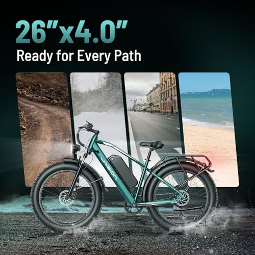 Electric Bike with 1500W Peak Motor, 48V 15Ah Battery, 26'' x 4'' Fat Tire P668