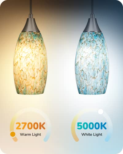 Glass Plug in Pendant Light with Handcrafted Art Glass Shade D626916