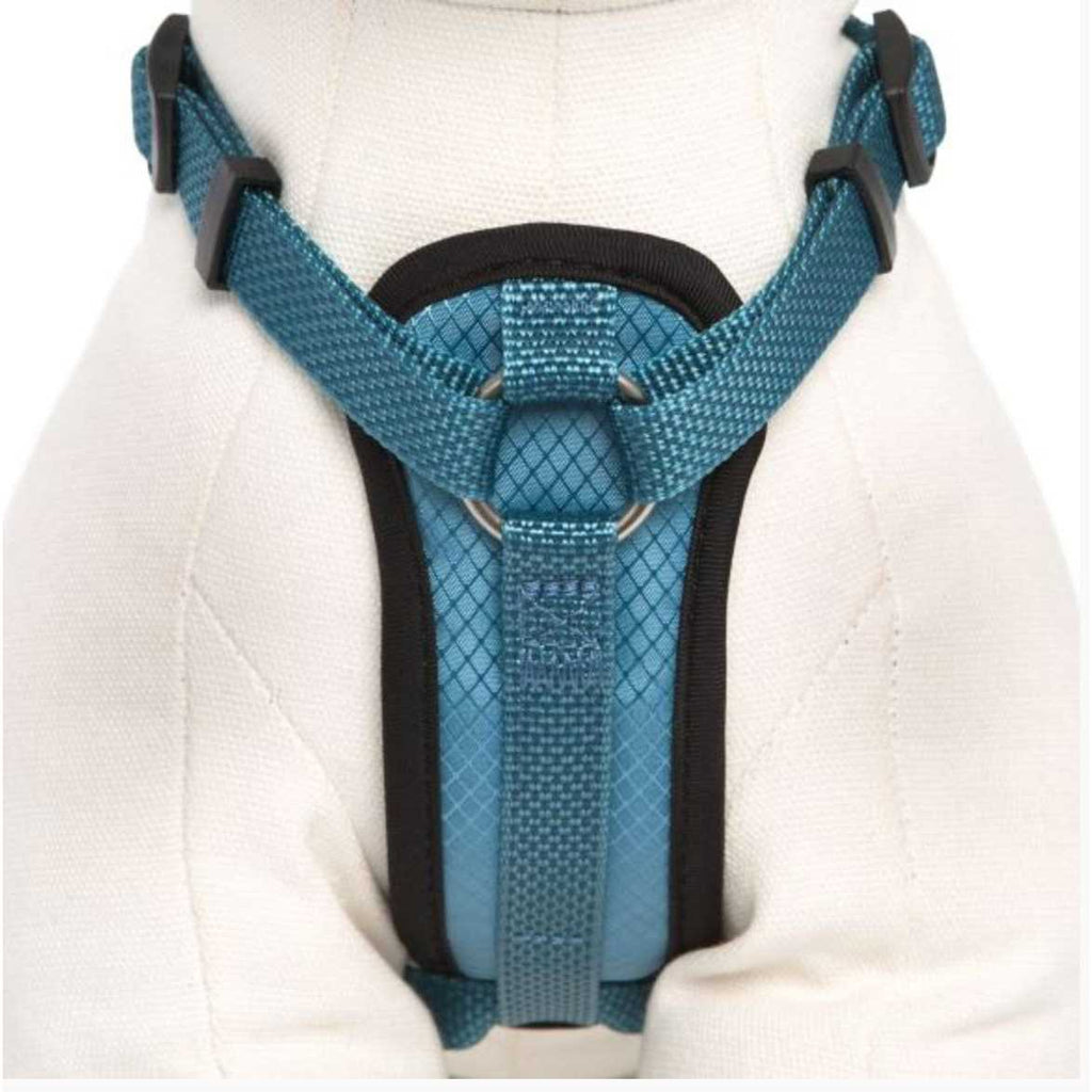 Padded Chest Plate Dog Harness C421556