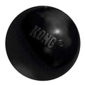 KONG Ball Dog Toy U138801