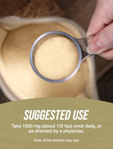 Shiitake Mushroom Extract Powder, 1000mg per Serving, 500g (1.1 lbs) L8367