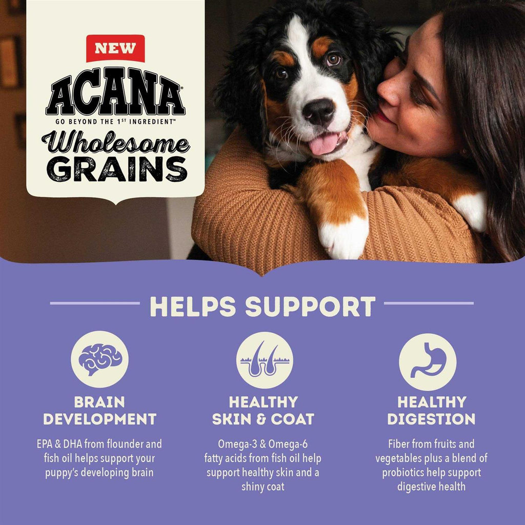 Acana Wholesome Grains Puppy Recipe Dry Dog Food Z62441
