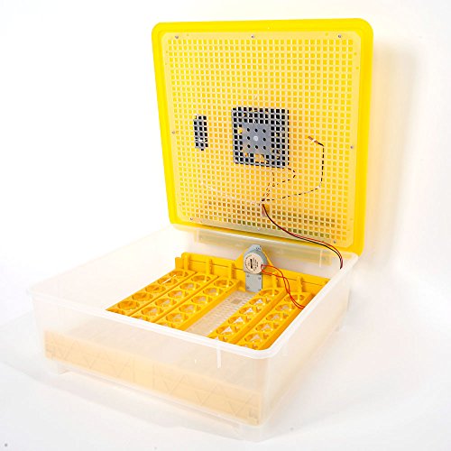 48 Egg Incubator with Automatic Egg Turning Y668