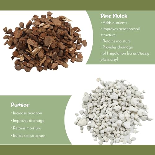 8 Quarts Cactus and Succulent Potting Mix J663883
