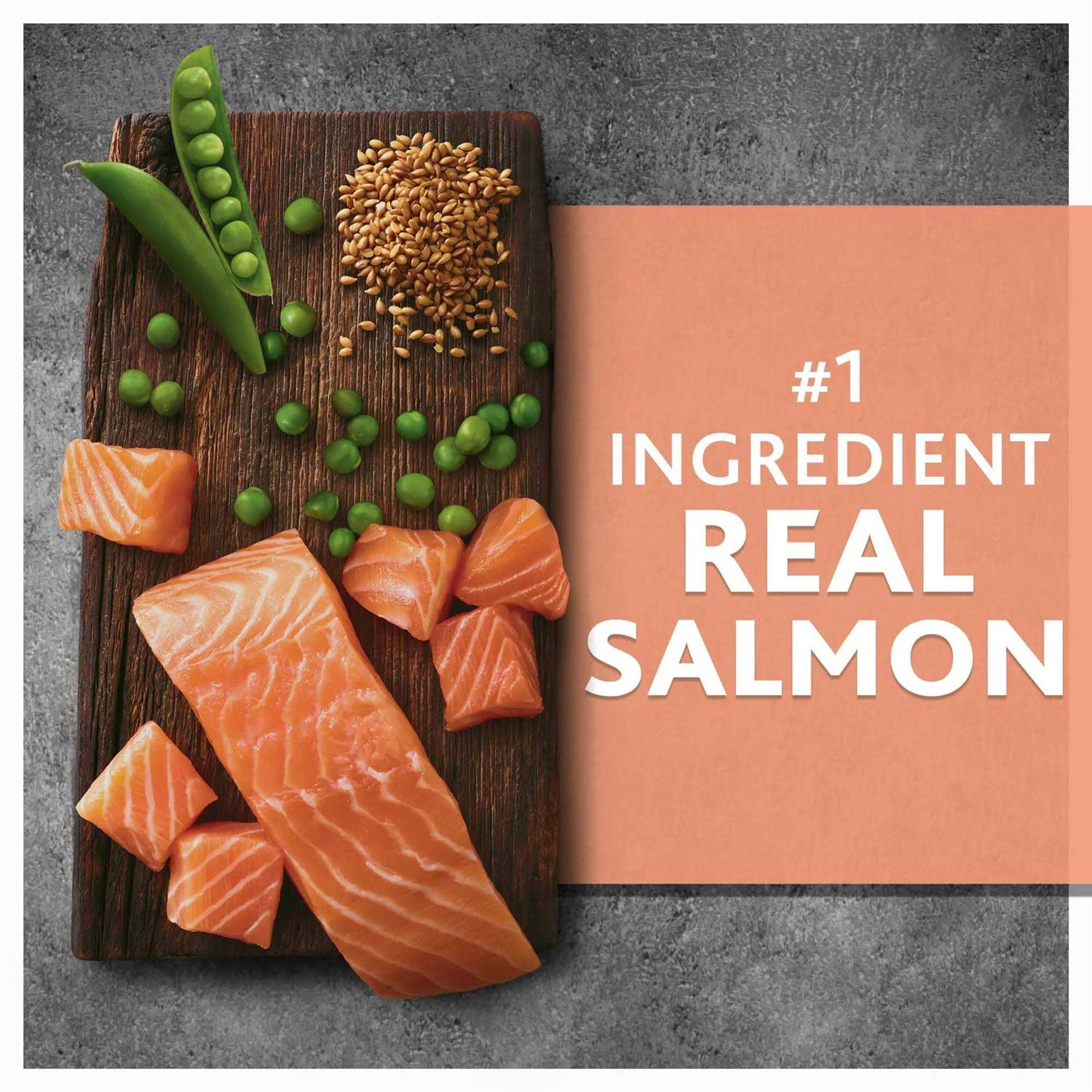 Salmon & Pea Recipe Dry Dog Food E934