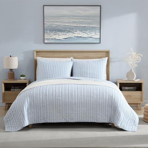 Queen Quilt Set, Reversible Cotton Bedding with Matching Shams, Light Blue Q29649