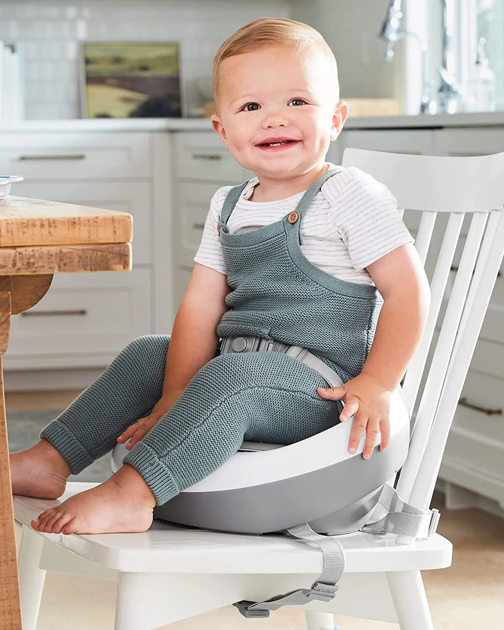 Grey White Booster Seat N27926