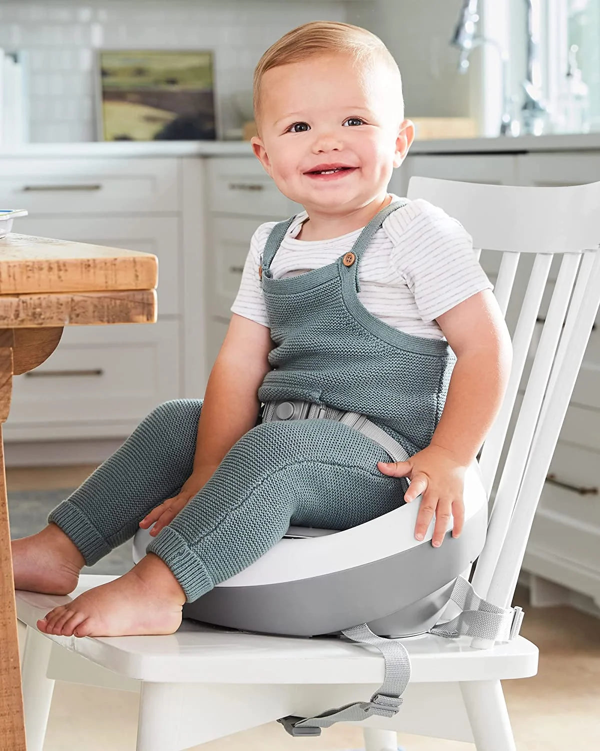 Grey White Booster Seat N27926