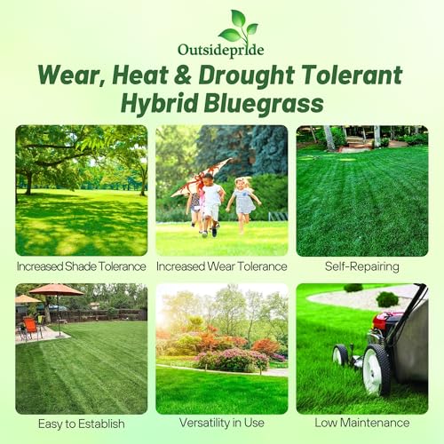 5 lb. Hybrid Bluegrass Lawn Grass Seed X25367