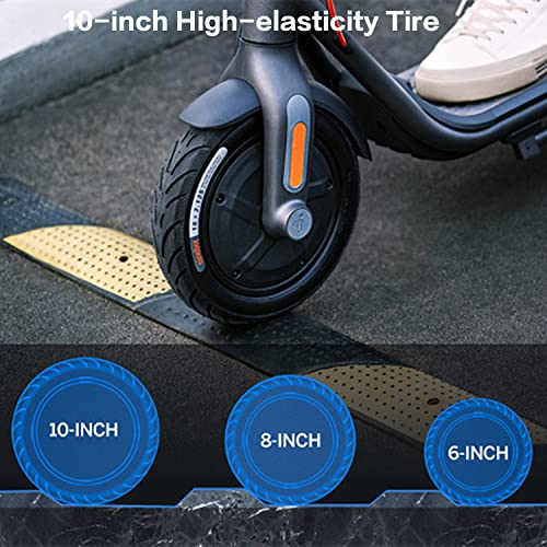 Electric Scooter with Dual Brakes L750
