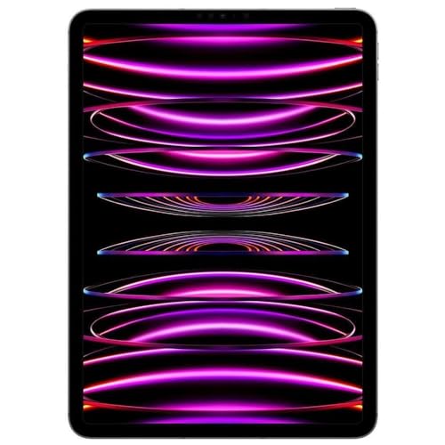 11-inch Wi-Fi 128GB Space Gray iPad Pro U961498
