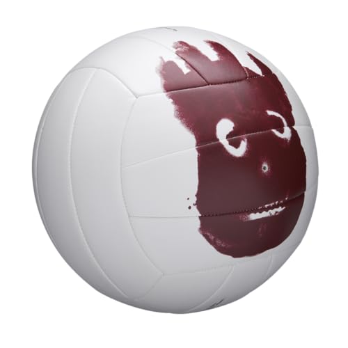 Mini and Official Size Volleyballs N6651