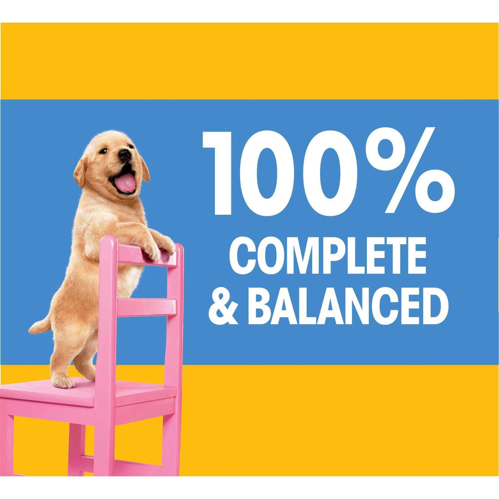 Pedigree Dry Dog Food Chicken & Vegetable Flavor R851544