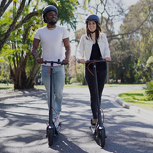 Electric Scooter with Dual Brakes L750