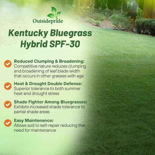 5 lb. Hybrid Bluegrass Lawn Grass Seed X25367